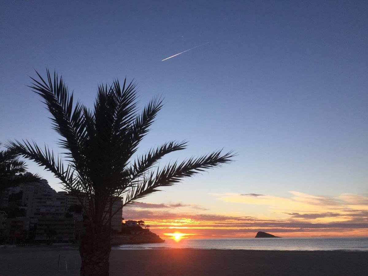 Maravilloso Complejo Residencial Benidorm Eksteriør bilde
